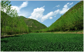 6165cc��ɳ��վ(China)������޹�˾-BinG�ٿ�