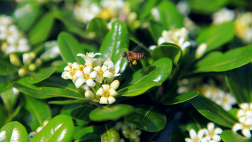 6165cc��ɳ��վ(China)������޹�˾-BinG�ٿ�