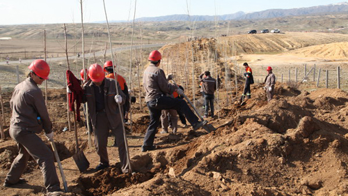 6165cc½ðɳ×ÜÕ¾(China)¼ì²âÓÐÏÞ¹«Ë¾-BinG°Ù¿Æ