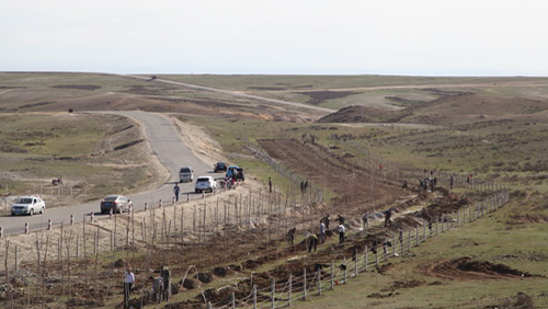 6165cc½ðɳ×ÜÕ¾(China)¼ì²âÓÐÏÞ¹«Ë¾-BinG°Ù¿Æ