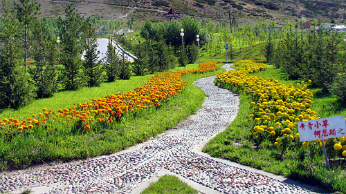 6165cc��ɳ��վ(China)������޹�˾-BinG�ٿ�