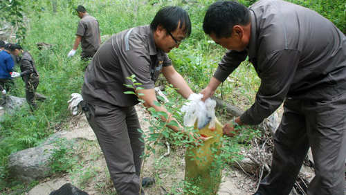 6165cc��ɳ��վ(China)������޹�˾-BinG�ٿ�