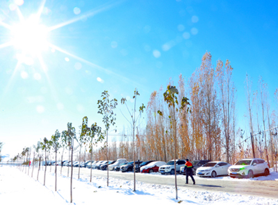 ��ѩ���� ������ͭҵֲ�����鲻��