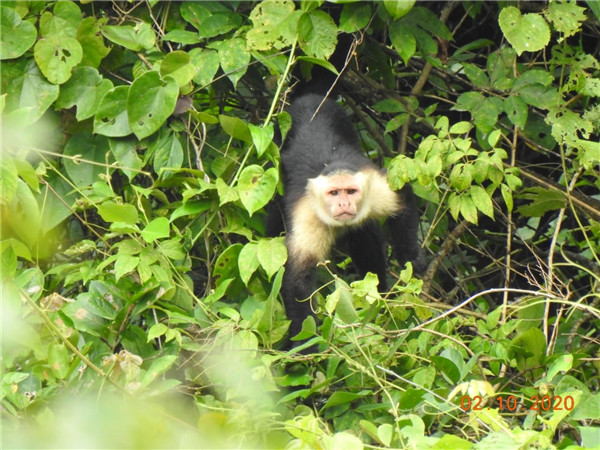 6165cc��ɳ��վ��ҵ�ġ�����֮Լ��