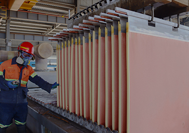 6165cc��ɳ��վ(China)������޹�˾-BinG�ٿ�