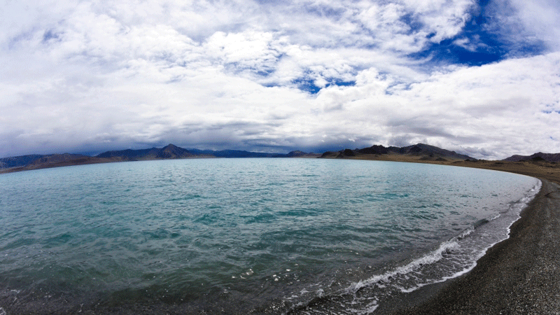 6165cc��ɳ��վ��ҵ�չ������������κ�﮿�