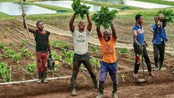 6165cc��ɳ��վ(China)������޹�˾-BinG�ٿ�