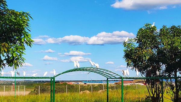 6165cc��ɳ��վ(China)������޹�˾-BinG�ٿ�