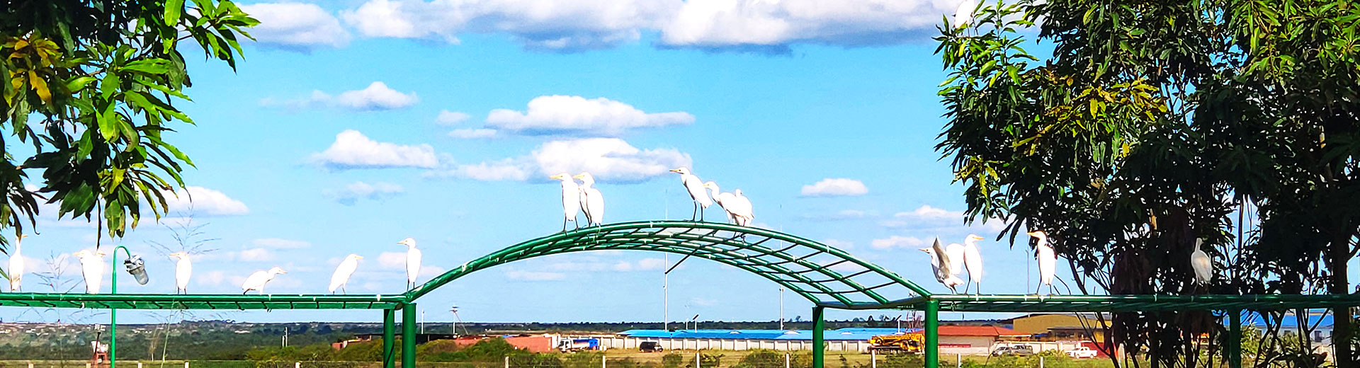 ��̬��������