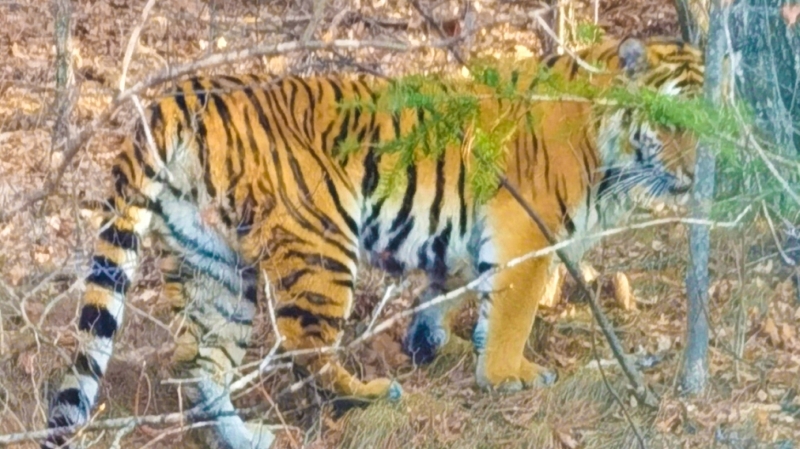 ����6165cc��ɳ��վ�����ڿ�ɽ �л����