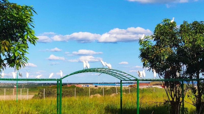 һ��һ��ʮ��������������6165cc��ɳ��վ��ҵ���������ʵ�ֻ�����Ӯ