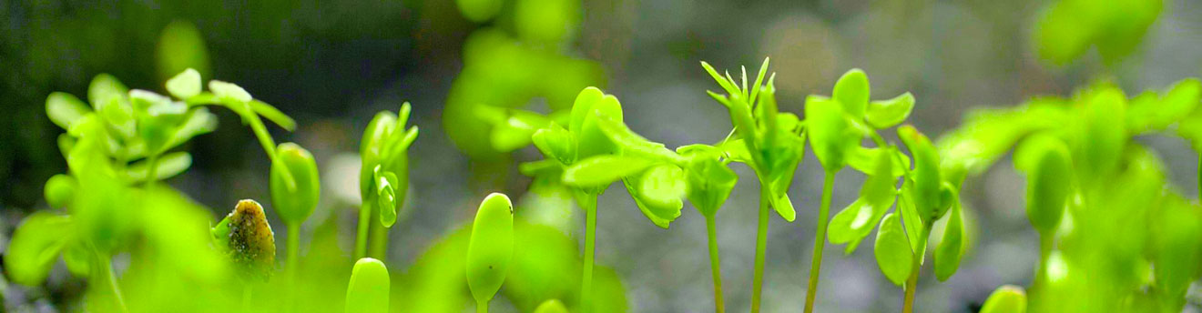 ����ս��