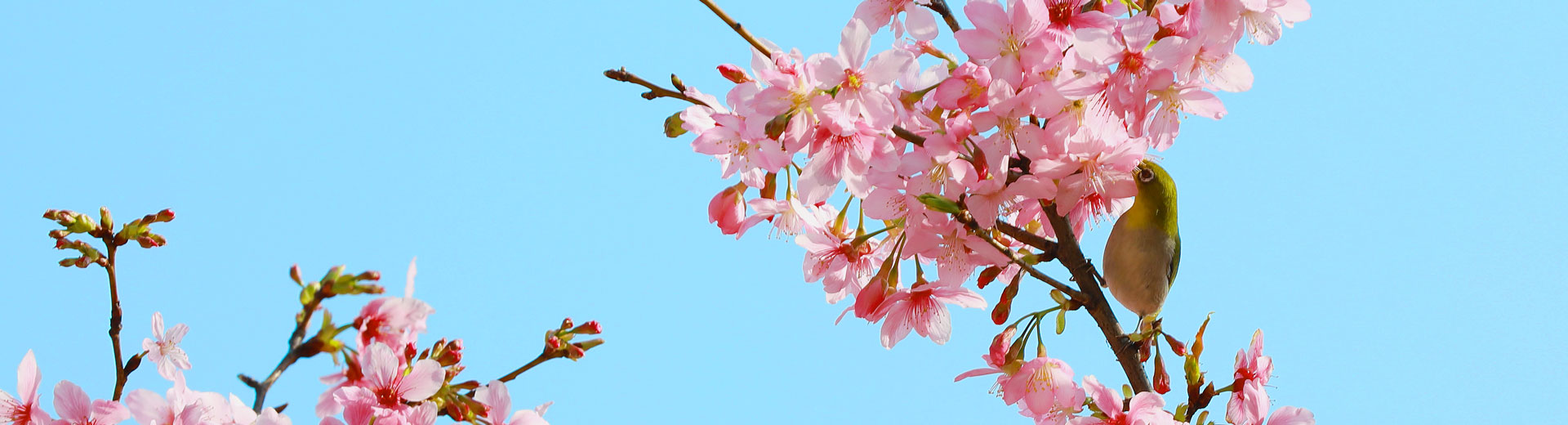 6165cc��ɳ��վBLOG