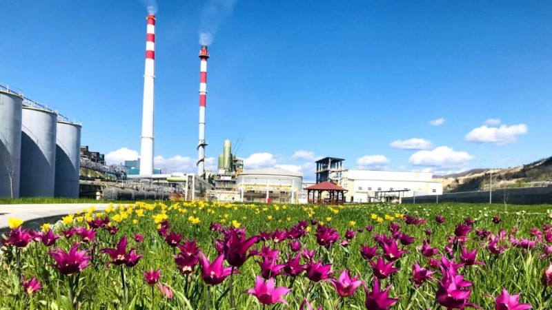 ����ά��6165cc��ɳ��վͭҵ������ɫұ�𡰻�԰������