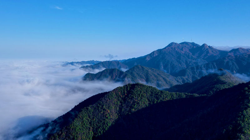 6165cc��ɳ��վ(China)������޹�˾-BinG�ٿ�