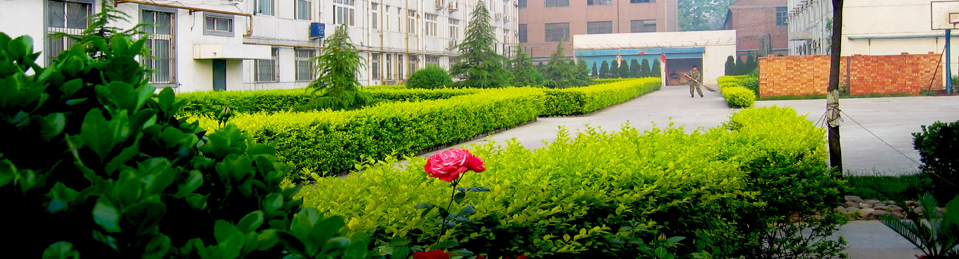 ���Իƽ�ұ����