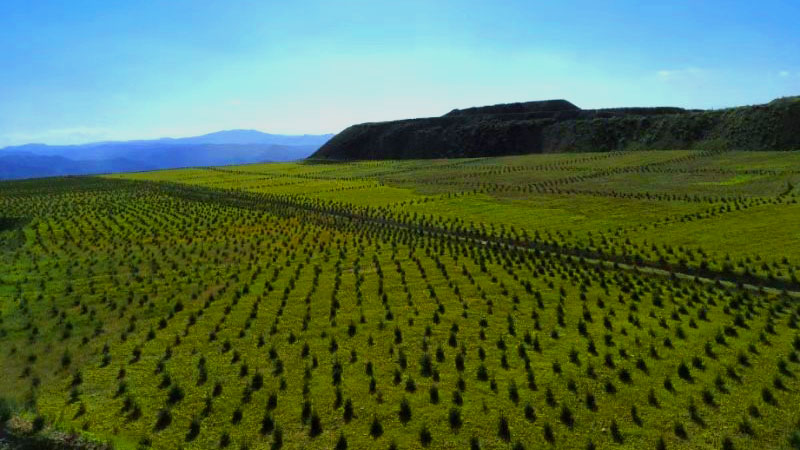 6165cc��ɳ��վ(China)������޹�˾-BinG�ٿ�