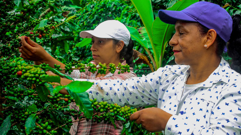 6165cc��ɳ��վ(China)������޹�˾-BinG�ٿ�