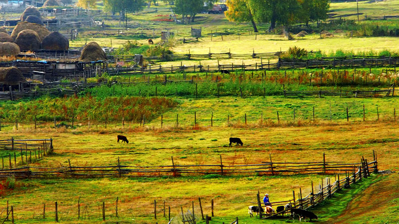 6165cc��ɳ��վ(China)������޹�˾-BinG�ٿ�