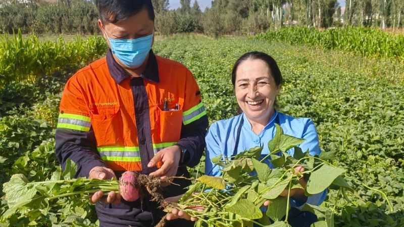 ������˹̹Ů���ڡ����ſڡ���ҵ