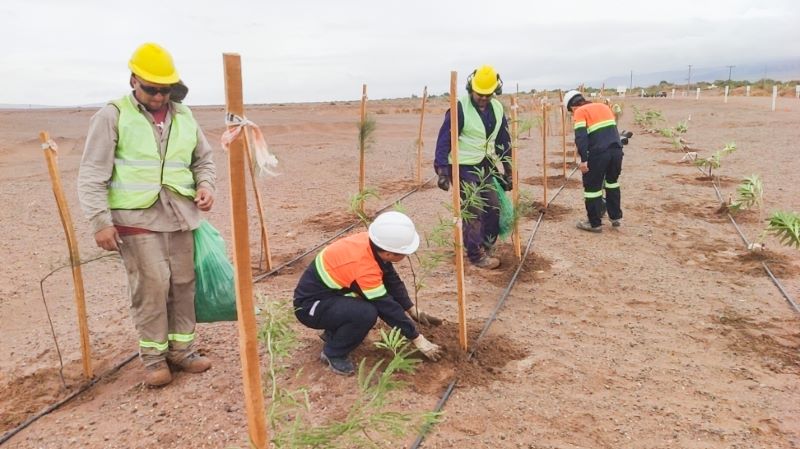 �ҵ��˼����ɳ�����硱������